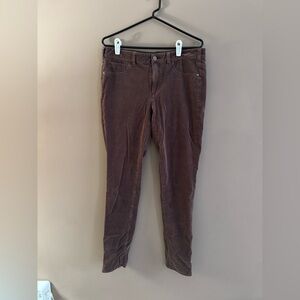 Pilcro and the Letterpress Serif 32 Tall Corduroy Pants